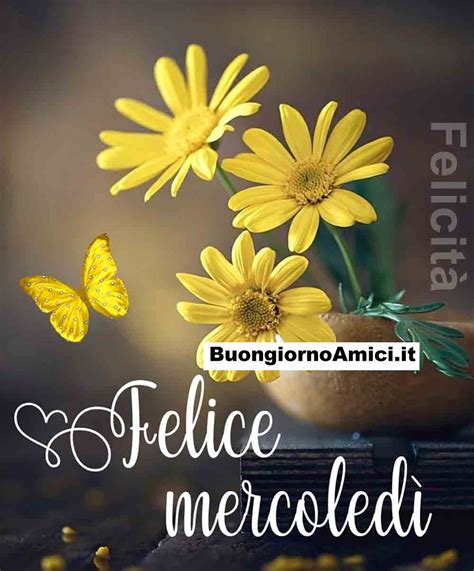 buongiorno buon mercoledì|More.